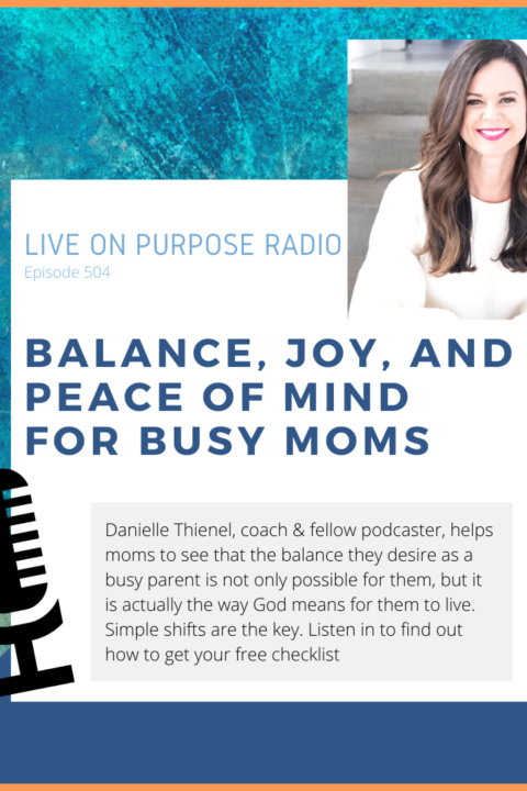 Balance, Joy, and Peace of Mind for Busy Moms – with Danielle Thienel – Episode #504