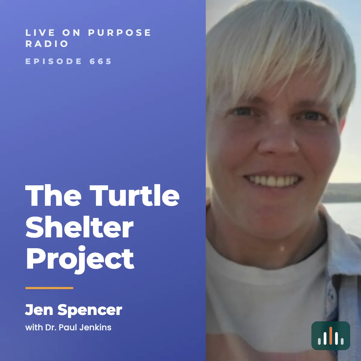 Episode art: The Turtle Shelter Project – with Jen Spencer