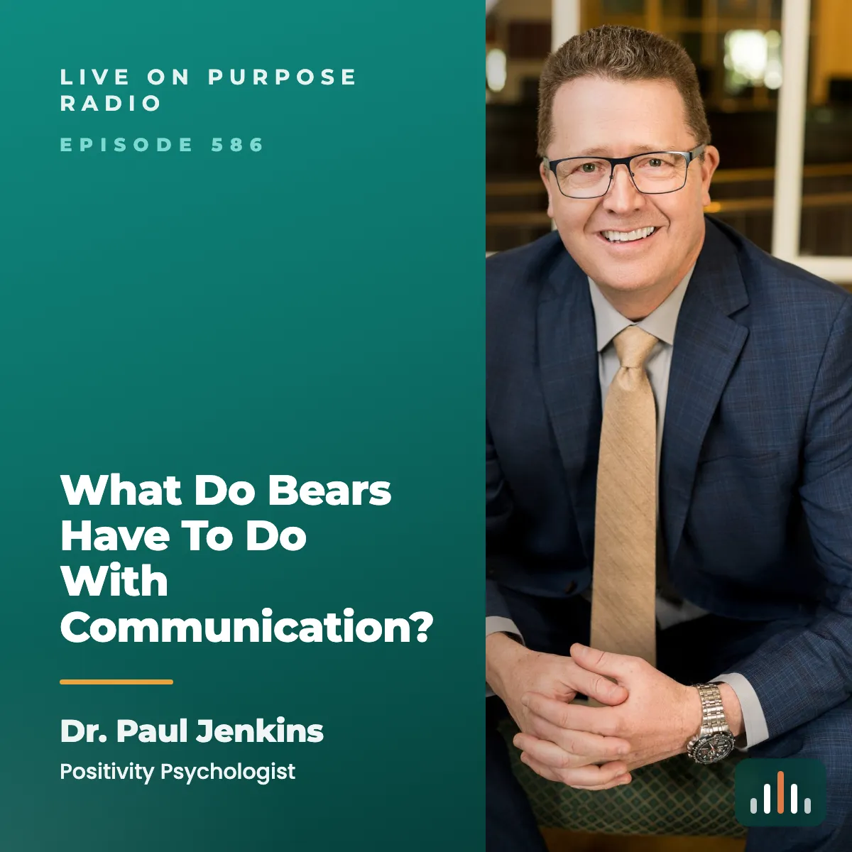 Episode art: What Do Bears Have To Do With Communication?