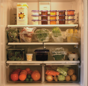 Dian's Refrigerator